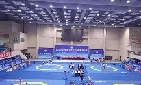 开云平台下载链接 - 漠南黑豹队对阵剑门鲸鲨队，跆拳道联赛火力全开，门将神扑救主——技战术储备厚实